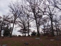 Chicago Ghost Hunters Group investigates Archer Woods Cemetery (18).JPG